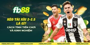 kèo tài xỉu 2-2-5 là gì